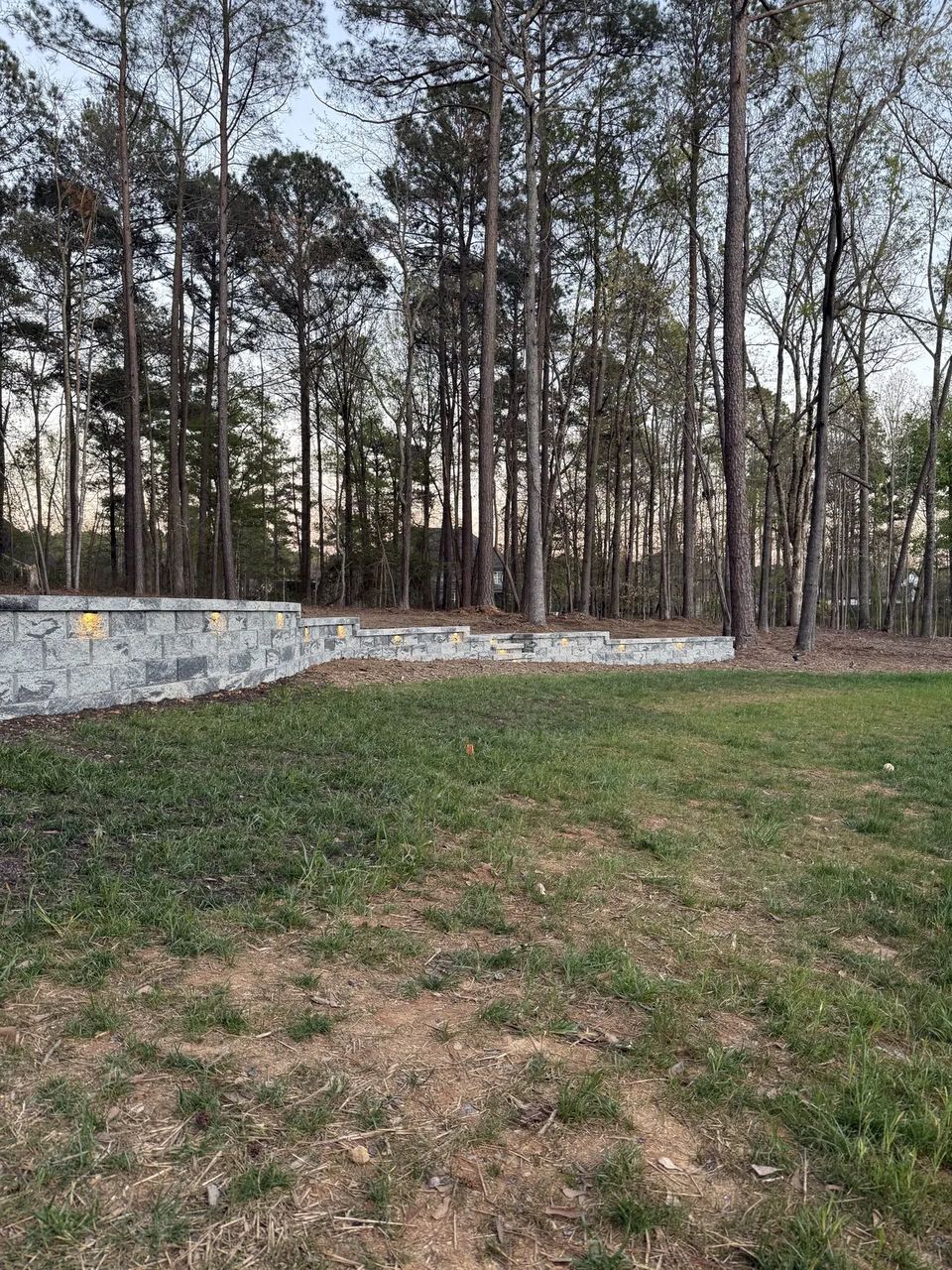 Curved wall and lawn with tall pines behind