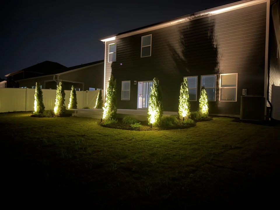 Uplit evergreens and wall wash lights at night
