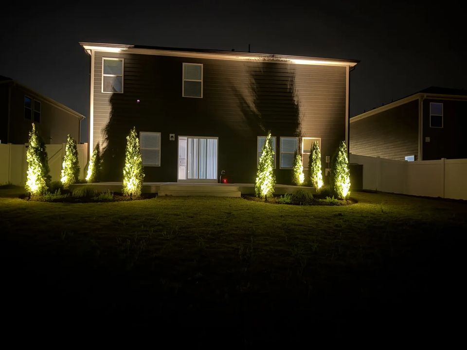 Uplighting on evergreens across the back of a two story house
