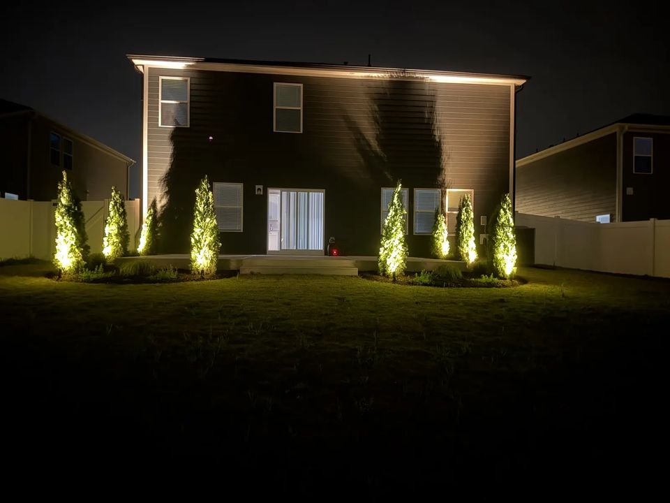 Straight on view of the uplit house and shrubs